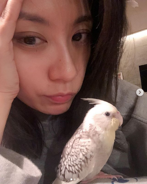 賈靜雯深夜哭喊「怎麼說走就走」　咘咘BO妞「母女抱在一起哭」：我真的不是超人媽媽...