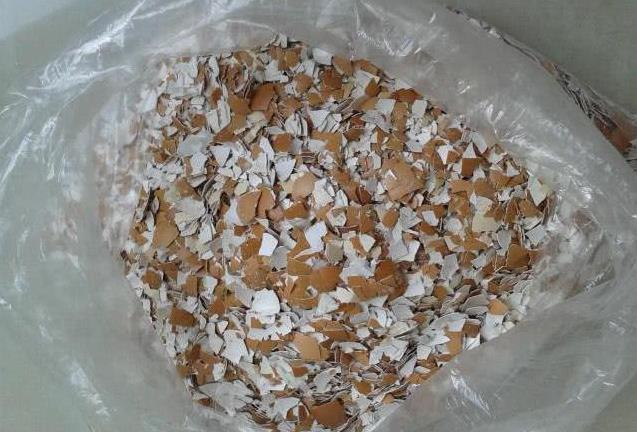 「雞蛋殼」千萬不要扔！你都浪費好多錢了「教你5招」能解決好多問題   太實用了