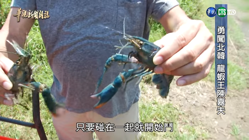 金正恩欽點!台灣龍蝦大王「大膽闖北韓」被監視 曾「投資2億慘賠5千萬」如今翻轉人生