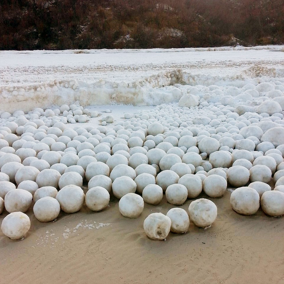 海灘驚現「一大片天然雪白巨球」居民樂歪搶合照！專家一看嚇歪：事情大條了