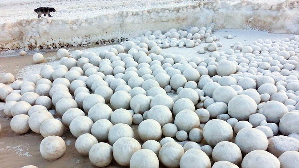 海灘驚現「一大片天然雪白巨球」居民樂歪搶合照！專家一看嚇歪：事情大條了