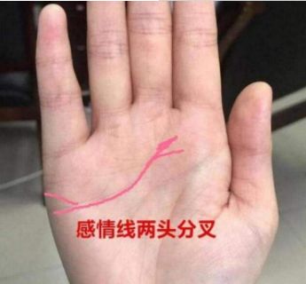 夫妻感情好不好，看手相就知道，快看看你有幾條線！