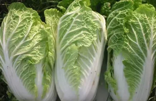手腳乾燥乾裂！教你「一個土偏方」皮膚又滑又嫩「省錢又省心」