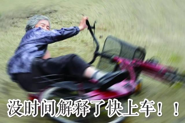 72歲學攝影、89歲攝影展！日本老奶奶「自拍照紅遍網路」：一身老戲骨