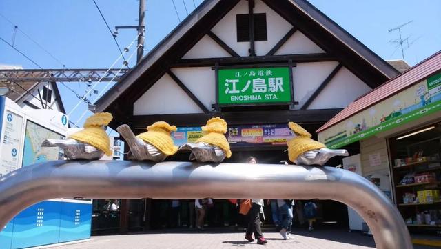 奶奶覺得你冷！她每月「為8隻小傢伙織新毛衣」  20年不間斷網友暖哭：比我衣服還要多