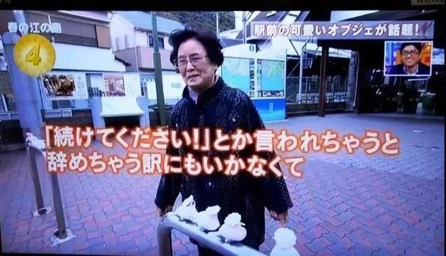 奶奶覺得你冷！她每月「為8隻小傢伙織新毛衣」  20年不間斷網友暖哭：比我衣服還要多