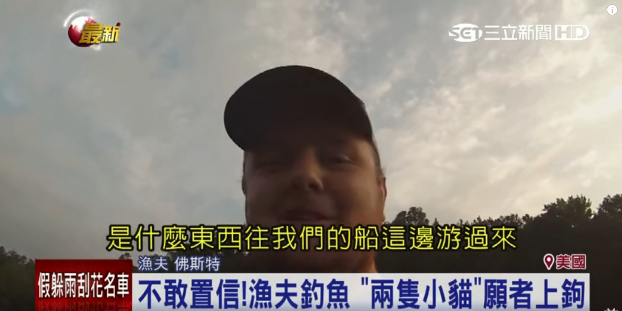 釣魚卻釣到貓咪？兩人意外展開神救援「另一個驚喜竟還在水裡」他傻眼：在開玩笑嗎