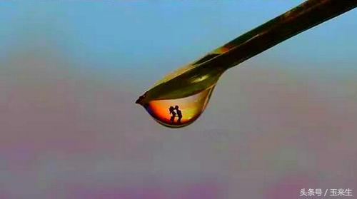  看了這些鏡頭，才知道導演是多麼有才，居然被騙了這麼多年！