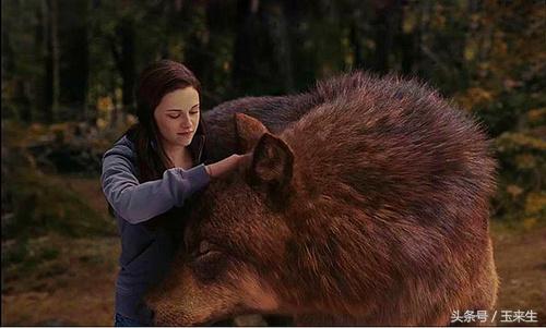  看了這些鏡頭，才知道導演是多麼有才，居然被騙了這麼多年！