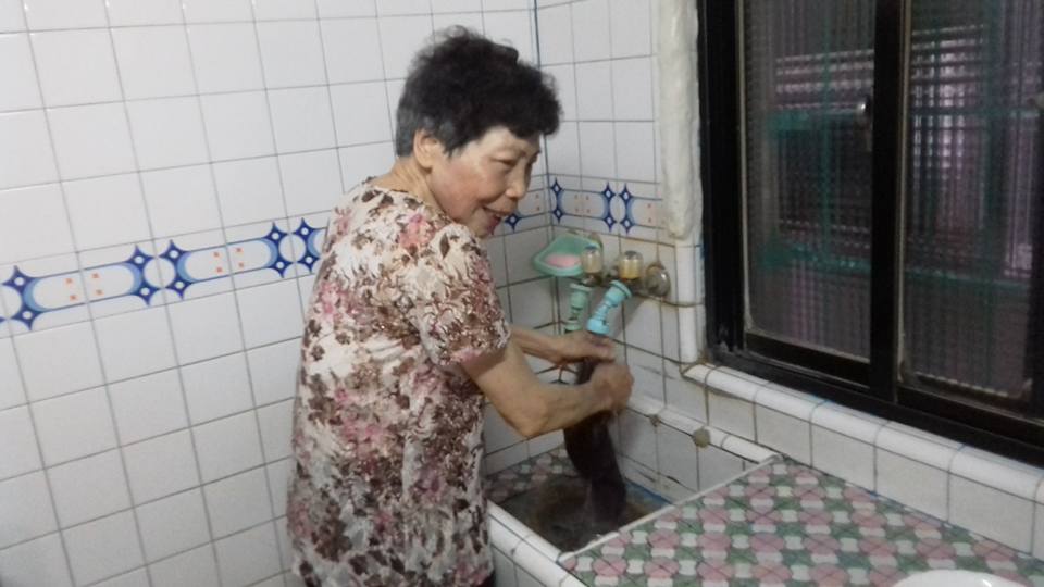 撿到30萬也立刻歸還！77歲困苦媽「挑泥搬磚賣菜」為家奉獻　孝順兒為媽慶生感動上萬人