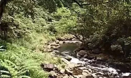 結伴變老！12個家庭「相約在台南蝸居」逝後埋一起　錢不用太多「朋友才是幸福的泉源」