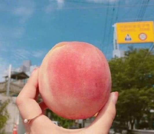 【心理測驗】你覺得哪個桃子最甜？測出你天生哪部分最好命！