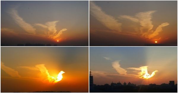 天上驚現「火鳳凰」！奇觀啊！66秒內轉出去者，六六大順，全家發大財，幸福安康