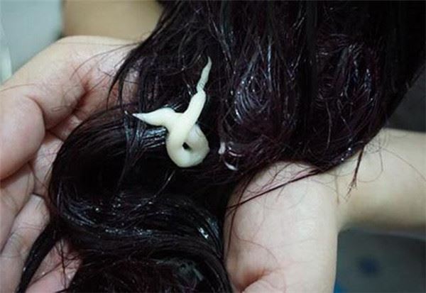 洗頭時「頭髮打溼」就抹洗髮精？難怪天天洗還是很油膩！　傳你2招正確洗髮方式！