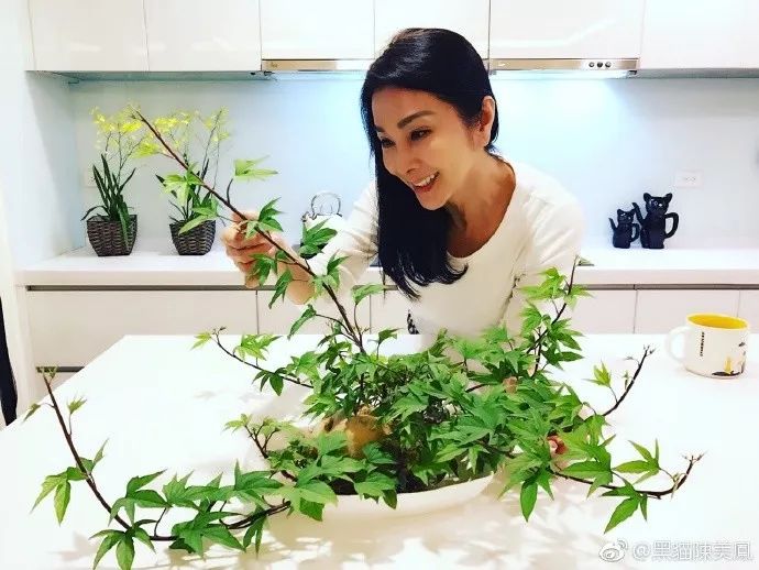 62歲的年齡26歲的身材，台灣「最美老太太」：美麗與年齡無關！