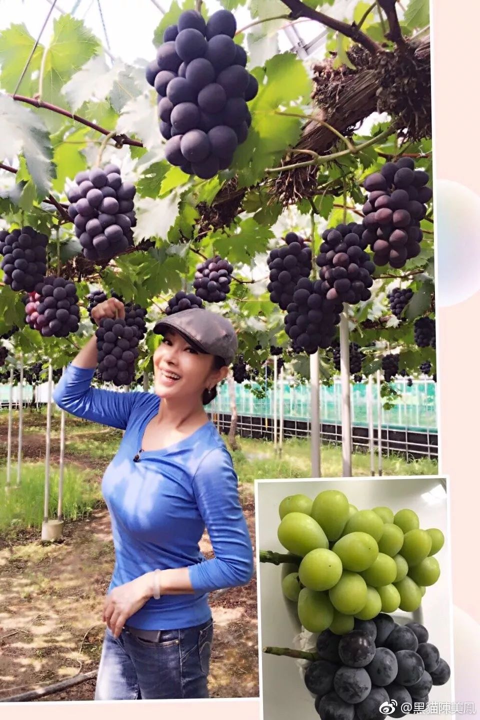62歲的年齡26歲的身材，台灣「最美老太太」：美麗與年齡無關！