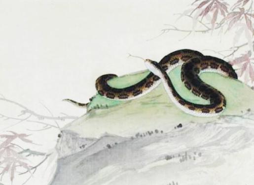 天生「與錢有緣」的生肖，有你嗎？