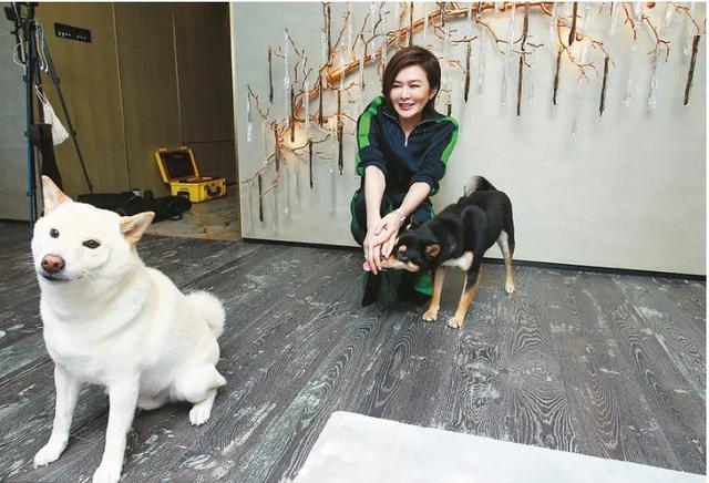 56嵗關之琳1.5億豪宅曝光,但卻獨自居住,她稱:非常享受單身