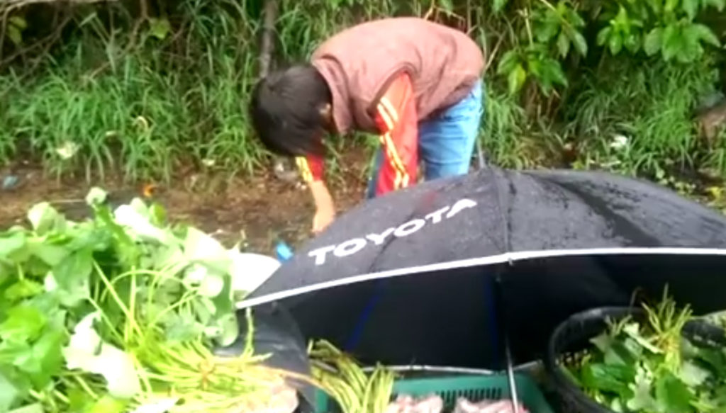 風雨無阻的孝心!11歲女孩路邊「撐傘賣菜」扛家計 里長「曝家庭狀況」:媽媽拒領補助金