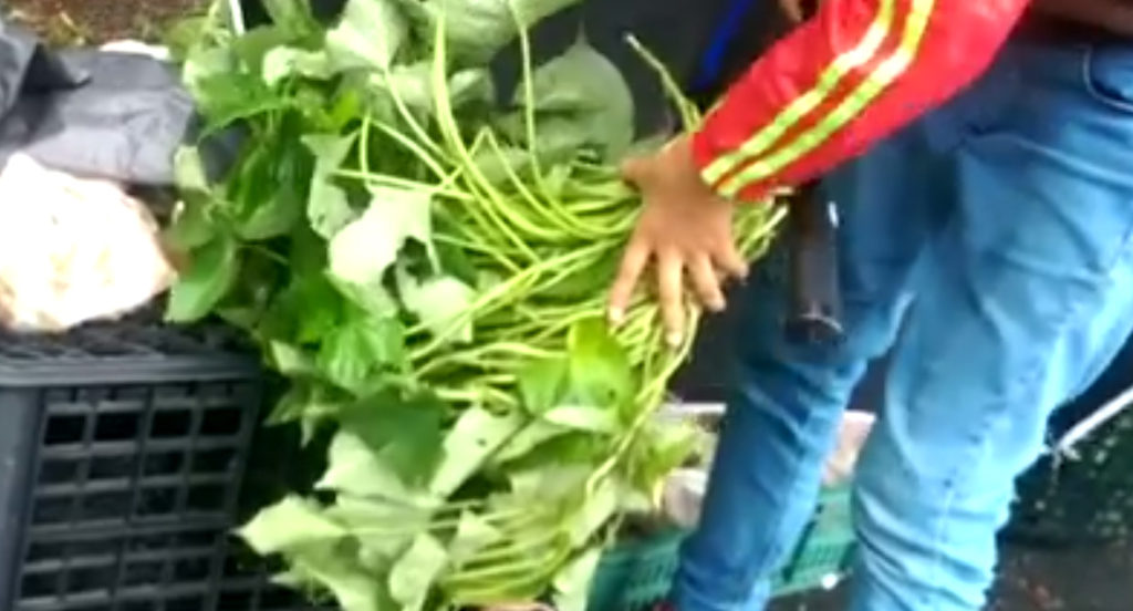 風雨無阻的孝心!11歲女孩路邊「撐傘賣菜」扛家計 里長「曝家庭狀況」:媽媽拒領補助金