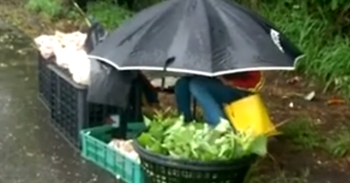 風雨無阻的孝心!11歲女孩路邊「撐傘賣菜」扛家計 里長「曝家庭狀況」:媽媽拒領補助金