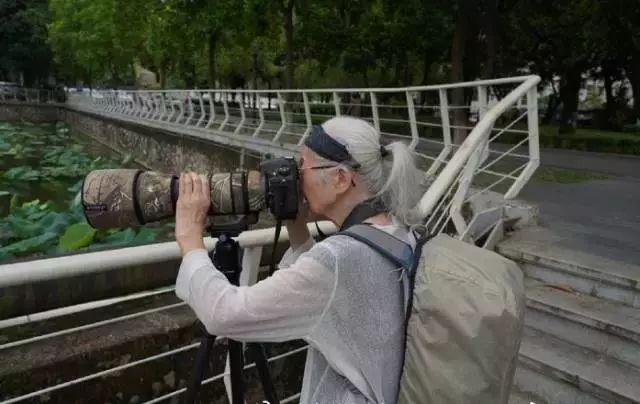 70歲奪選美冠軍！「旗袍奶奶」走向國際伸展台　驚艷世界：老了還是可以照樣美