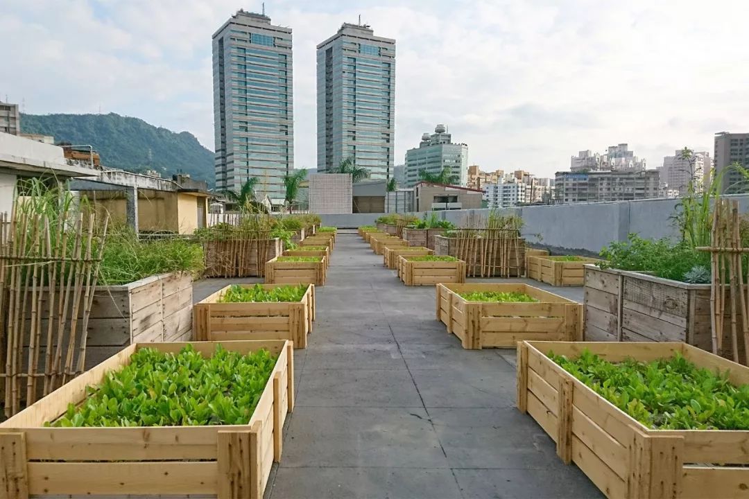 台北退休老師，花10年時間在海邊建造「土房子」！冬暖夏涼還能防地震，完勝日本建築大師！