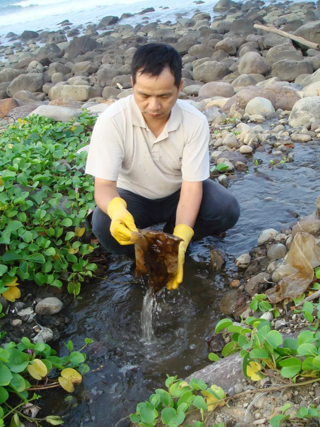 台北退休老師，花10年時間在海邊建造「土房子」！冬暖夏涼還能防地震，完勝日本建築大師！