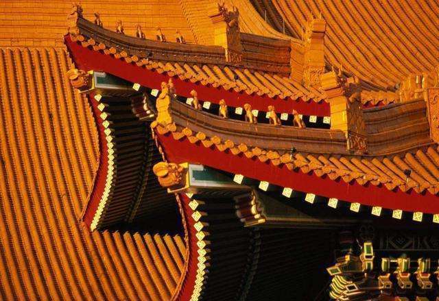 600多年了還如此乾淨！故宮的屋頂從沒有鳥糞， 專家說出了秘密：古人的智慧