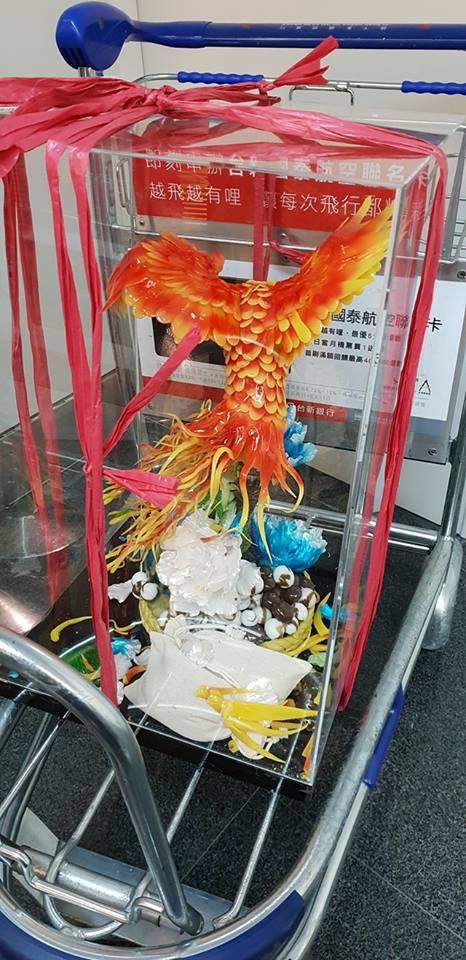 安檢重摔「火鳳凰」拉糖選手機場痛哭！師嘆「自費選手悲哀」參賽到底：我們是台灣人