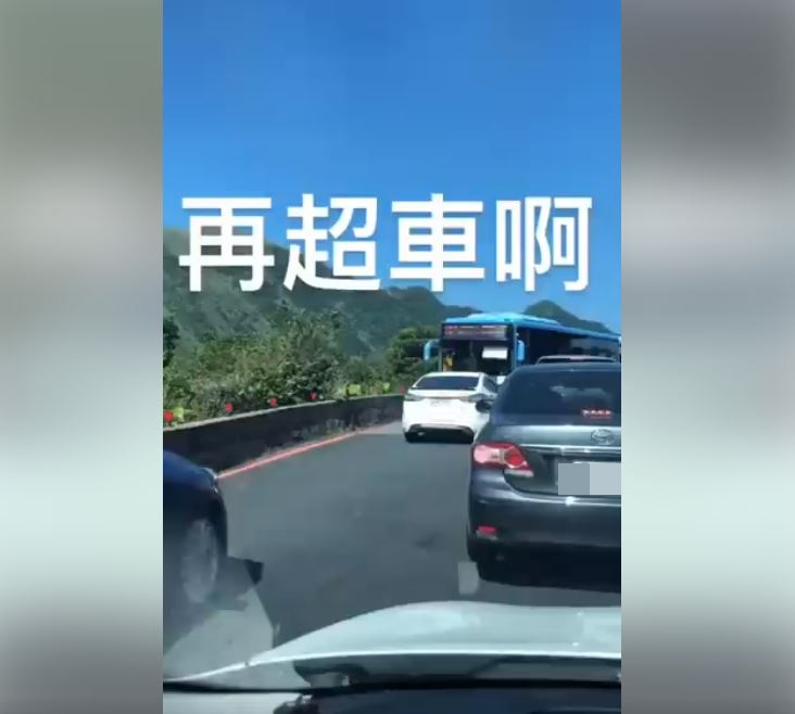 塞車就乖乖排隊！「三寶逆向超車」慘遇大魔王　下秒被「霸氣逼退」畫面超療癒