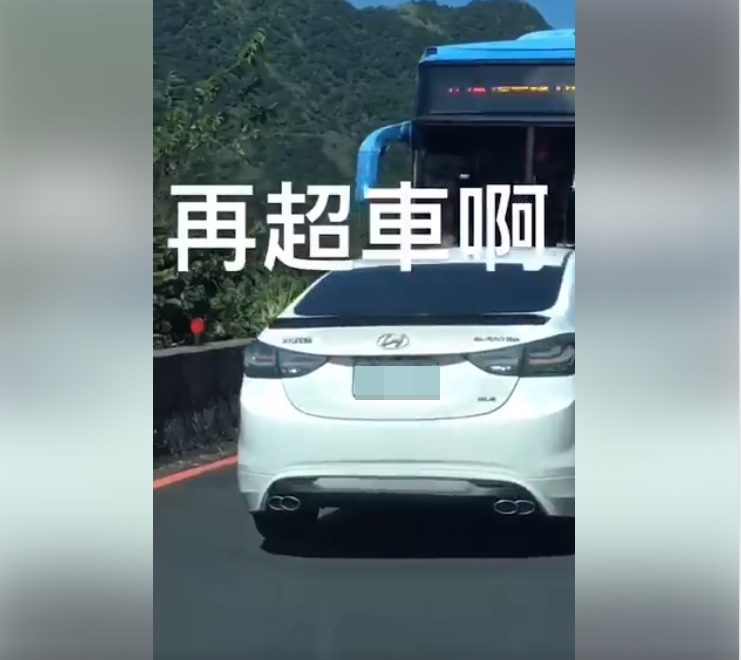 塞車就乖乖排隊！「三寶逆向超車」慘遇大魔王　下秒被「霸氣逼退」畫面超療癒
