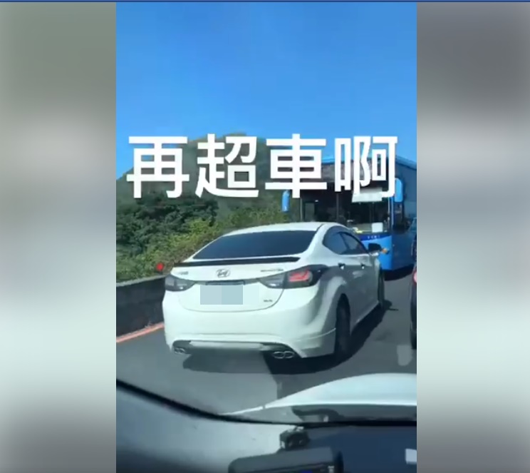 塞車就乖乖排隊！「三寶逆向超車」慘遇大魔王　下秒被「霸氣逼退」畫面超療癒