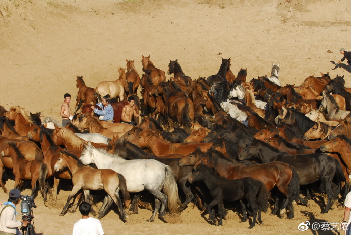 胡歌《射鵰》遇大難停拍!金庸二話不說「俠義解救」成就今日:沒有他我不會有今天