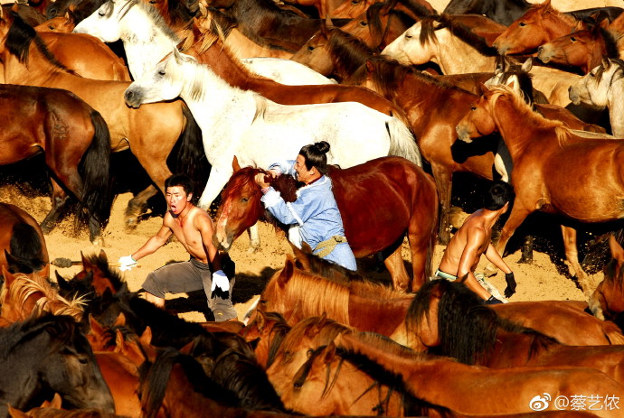 胡歌《射鵰》遇大難停拍!金庸二話不說「俠義解救」成就今日:沒有他我不會有今天