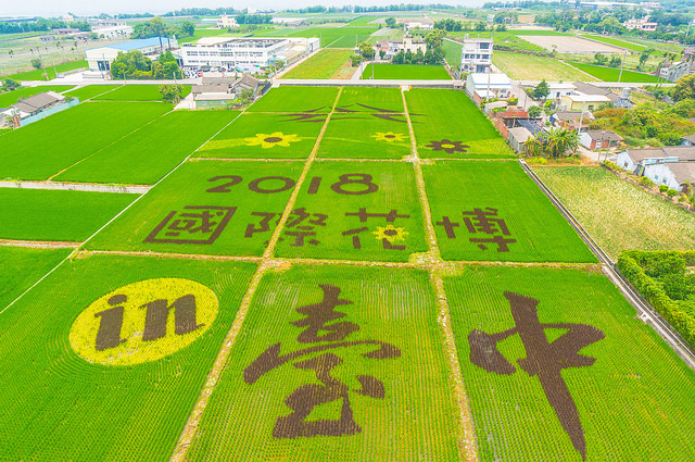 台中世界花博倒數2天！3大展區搶先看「一睹全台之最」　「遊園完整攻略」這樣玩最省時
