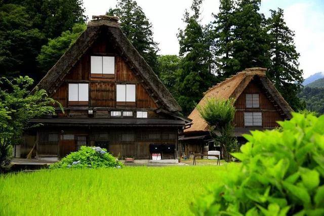 冬天旅遊勝地！日本最美鄉村「合掌村」此生必去  114棟茅草房「夜晚點燈雪景」美翻：彷彿走進童話中