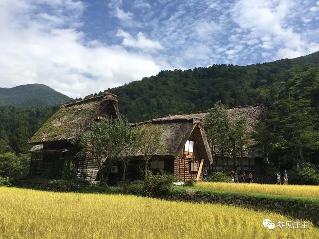 冬天旅遊勝地！日本最美鄉村「合掌村」此生必去  114棟茅草房「夜晚點燈雪景」美翻：彷彿走進童話中