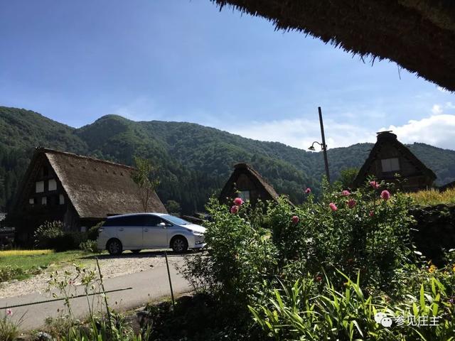 冬天旅遊勝地！日本最美鄉村「合掌村」此生必去  114棟茅草房「夜晚點燈雪景」美翻：彷彿走進童話中