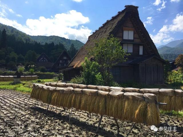 冬天旅遊勝地！日本最美鄉村「合掌村」此生必去  114棟茅草房「夜晚點燈雪景」美翻：彷彿走進童話中