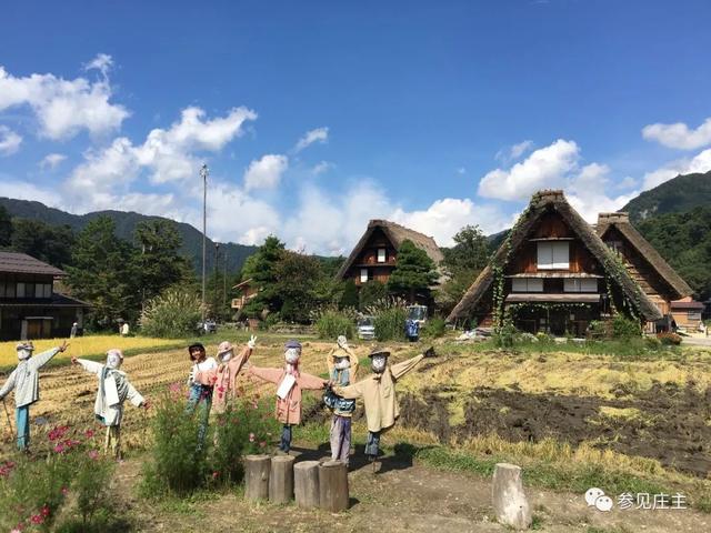 冬天旅遊勝地！日本最美鄉村「合掌村」此生必去  114棟茅草房「夜晚點燈雪景」美翻：彷彿走進童話中