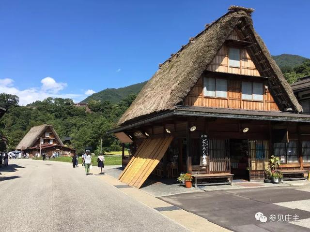 冬天旅遊勝地！日本最美鄉村「合掌村」此生必去  114棟茅草房「夜晚點燈雪景」美翻：彷彿走進童話中