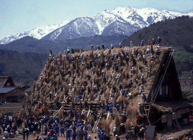 冬天旅遊勝地！日本最美鄉村「合掌村」此生必去  114棟茅草房「夜晚點燈雪景」美翻：彷彿走進童話中