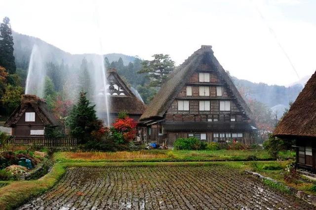 冬天旅遊勝地！日本最美鄉村「合掌村」此生必去  114棟茅草房「夜晚點燈雪景」美翻：彷彿走進童話中