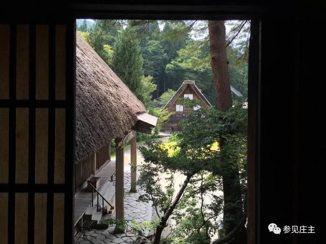 冬天旅遊勝地！日本最美鄉村「合掌村」此生必去  114棟茅草房「夜晚點燈雪景」美翻：彷彿走進童話中