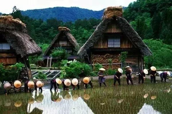 冬天旅遊勝地！日本最美鄉村「合掌村」此生必去  114棟茅草房「夜晚點燈雪景」美翻：彷彿走進童話中