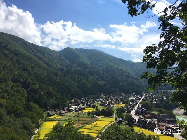 冬天旅遊勝地！日本最美鄉村「合掌村」此生必去  114棟茅草房「夜晚點燈雪景」美翻：彷彿走進童話中