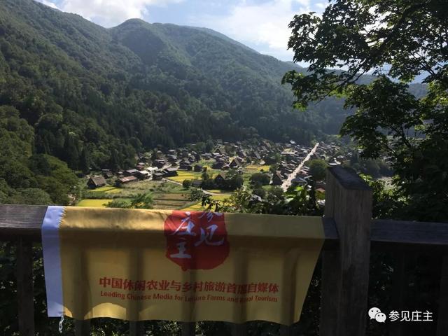 冬天旅遊勝地！日本最美鄉村「合掌村」此生必去  114棟茅草房「夜晚點燈雪景」美翻：彷彿走進童話中
