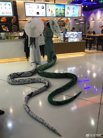 他驚見「青蛇白蛇買飲料」200公分尾巴狂擺動　起底「極美真面目」喊：娘子～許仙在這