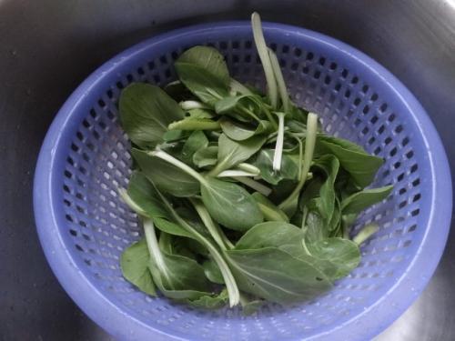 不管炒什麼青菜，下鍋前只要多加「這1步」，青菜不但不變黑，吃著還特別嫩！